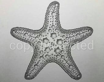 Starfish drawing | Etsy