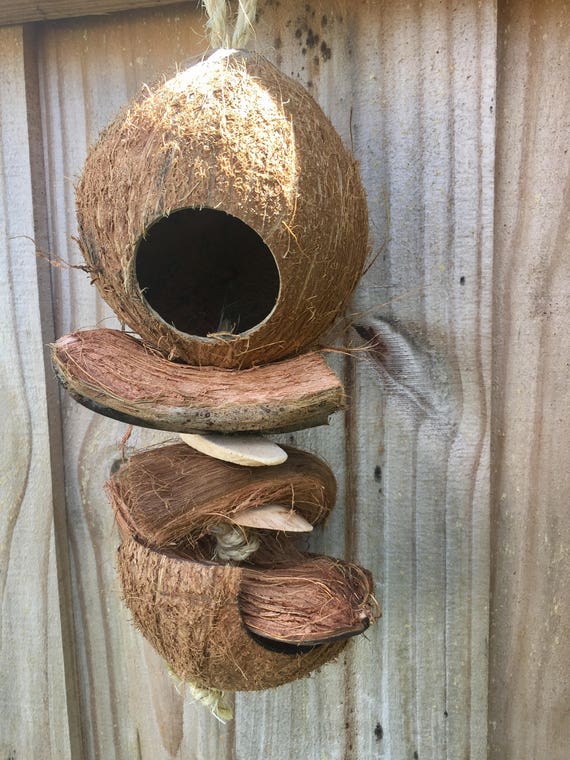 Natural coconut bird toy