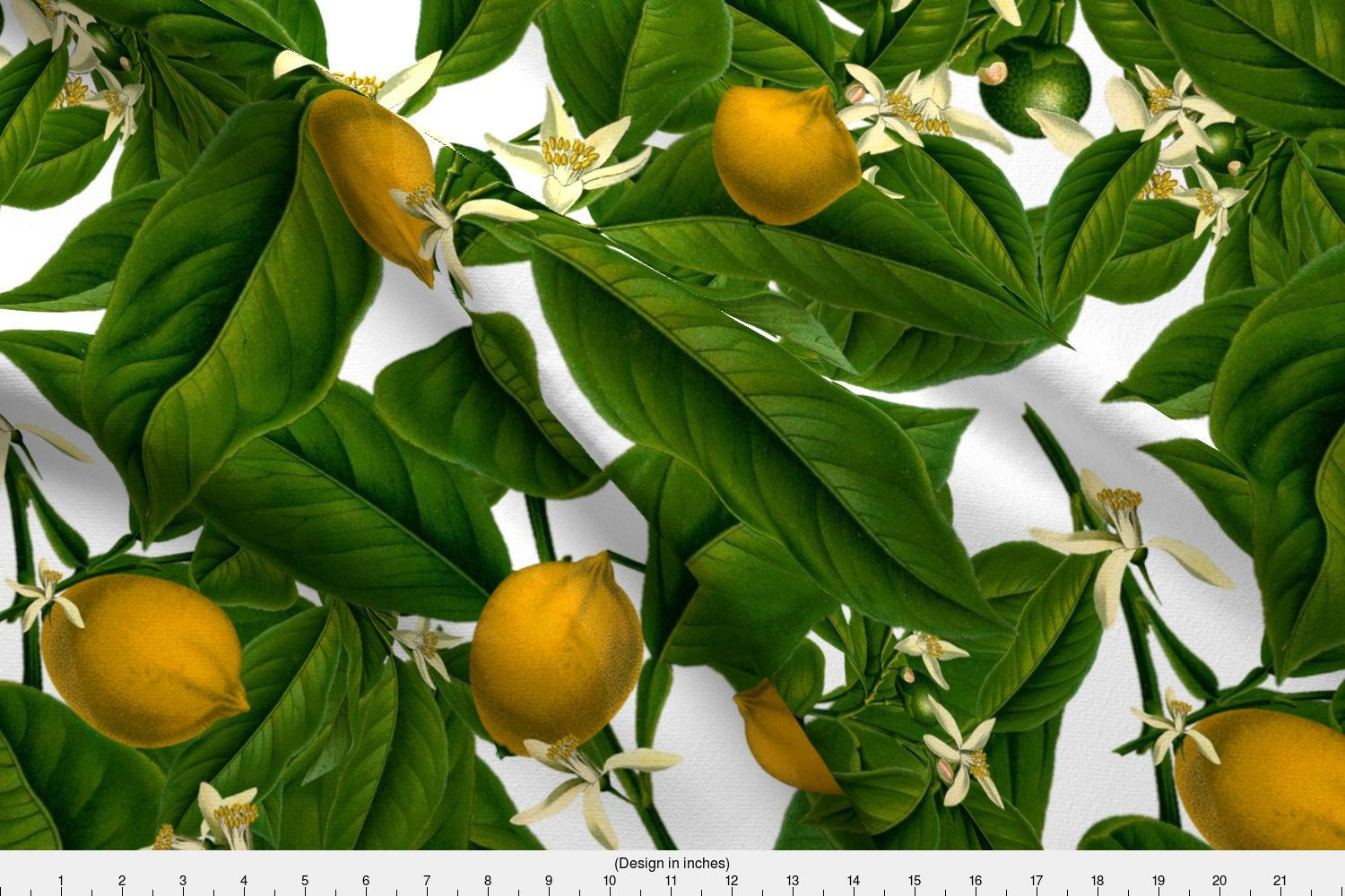 Lemon Fabric Lemon Botanical By Peacoquettedesigns Lemon Summer