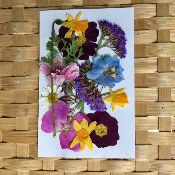 real decoupage flowers Leaves, Dried Petals Pressed 200 Flowers and Flowers,