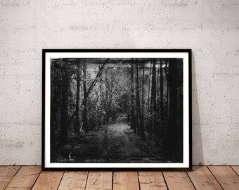 forest photography print / black and white nature art print