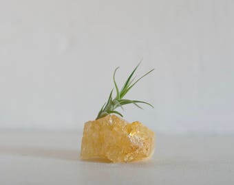 Coworker Gift, Yellow Quartz Crystal Cluster, Air Plant Holder, Thank You Gift, Boho Décor, Mom Gift, Crystal Décor, Office Desk Accessories