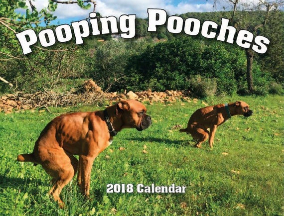 2018 Pooping Pooches Dog Calendar White Elephant Gag Gift