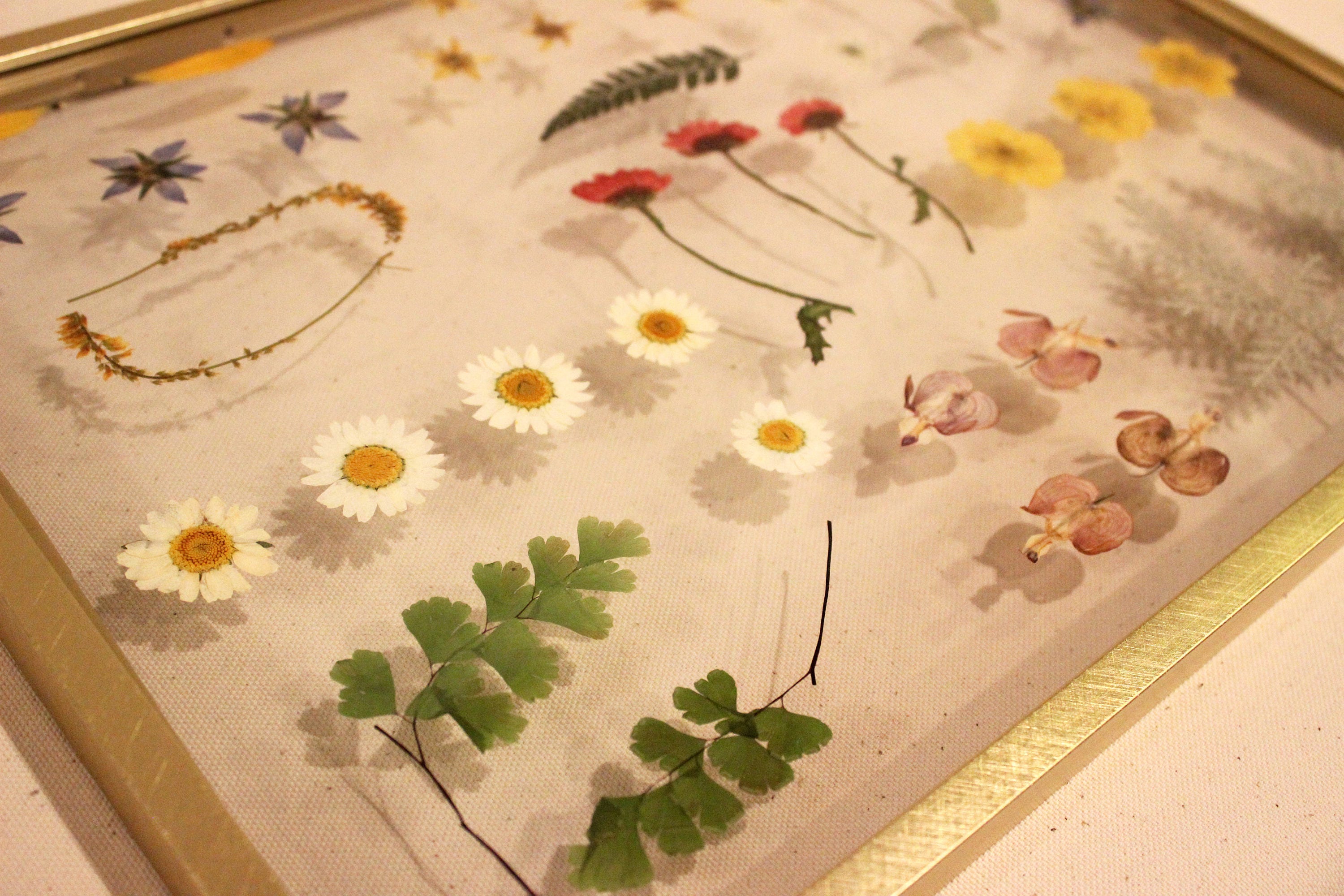 Pressed Flower Art, Framed Dried Flowers, Dried Flower Wall Hanging