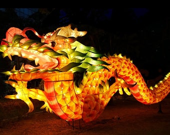 Digital Download Photography -- Chinese Lantern Festival, Large Dragon Illuminated in Taiwan, Night Time Photography