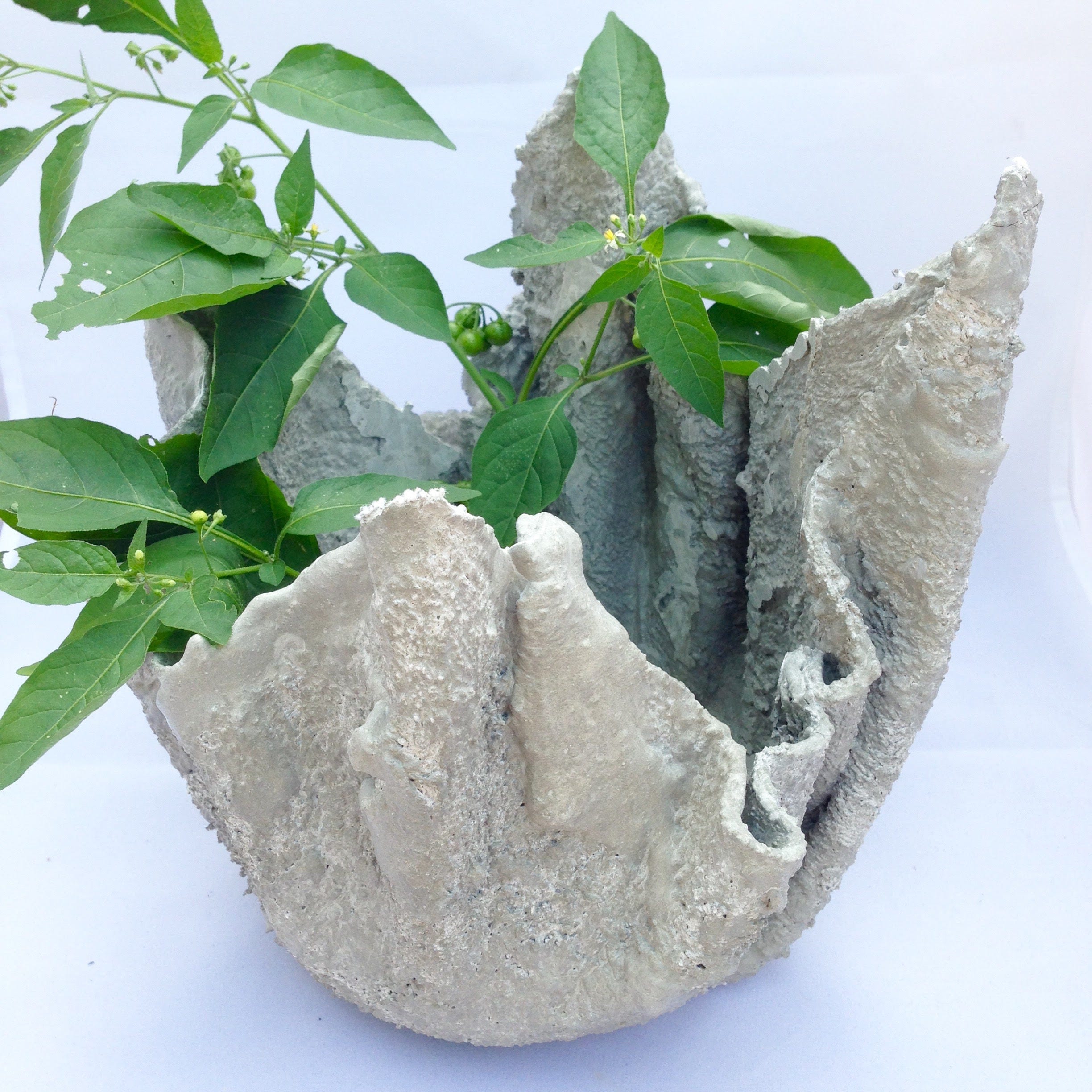 Hypertufa Planter Draped Fabric Concrete Planter Hypertufa