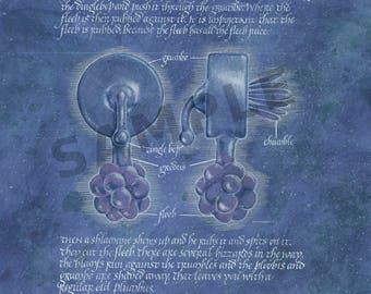 Fine art print: How a plumbus is made