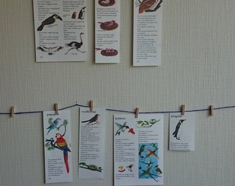 Clip art birds, eggs, owl, Robin, Hummingbird, Penguin, Parrot-decoration VINTAGE