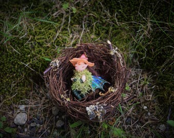 Nestling Pixie, Sleeping Baby Faerie, Miniature Sleeping Pixie, Orange Flower Cap Fairy in a nest