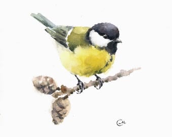 Tit - Original Watercolor Painting 7 4/5 x 7 4/5 inches Bird