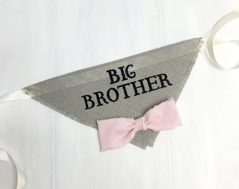 Gray Big Brother Dog Bandana with Pink Bowtie for Pregnancy Announcement Newborn Photos