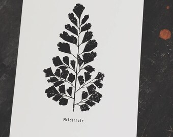 Botanical Fern Print Art Print, Botanical Fern Print, Fern Print Art, Botanical Fern Print Wall Art, Modern Botanical Art Print, Monochrome