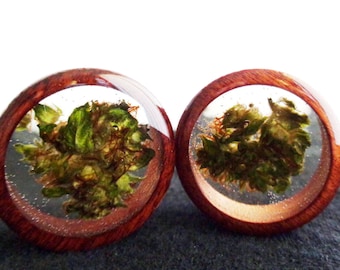 Healing Flower Plugs-Weed Plugs-Cannabis-Marijuana-Organic Wood Plugs-Weed-Stoner Plugs-Wood Plugs-Plugs-Gifts for Her-Gifts for Him
