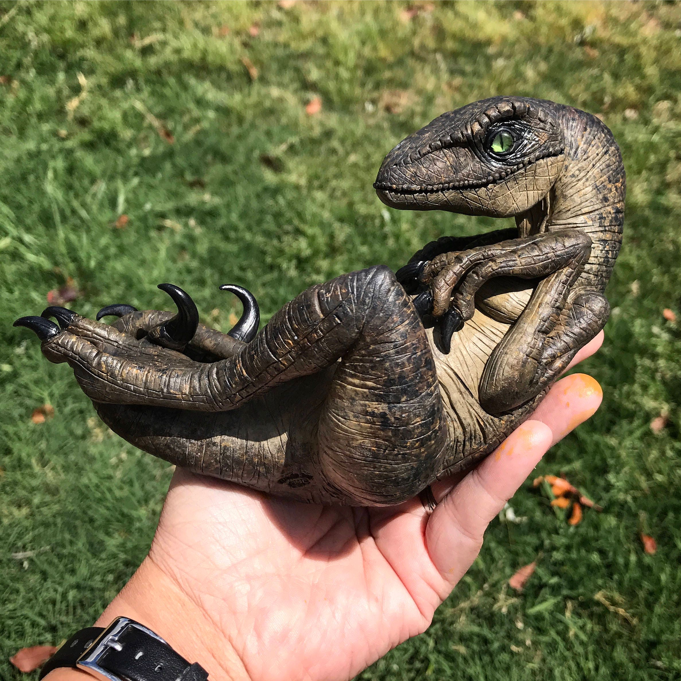 MadeToOrderCustom OOAK Jurassic Baby Raptor Hatchling