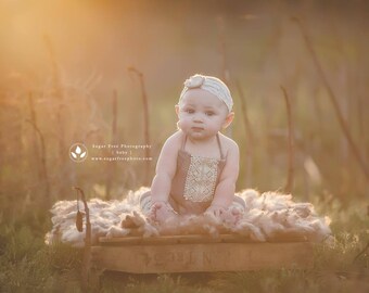 Cake smash girl outfit, Baby Girl Romper, Vintage Baby Romper, Taupe purple Romper, Baby Romper, Newborn Romper, Photography Baby Romper