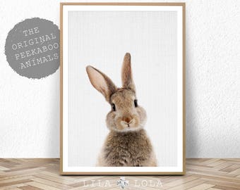 Rabbit Print Wall Art, Nursery Animal Decor, Woodland Animal, Digital Download, Large Poster, Woodland Baby Shower, Bunny, Forest Animal