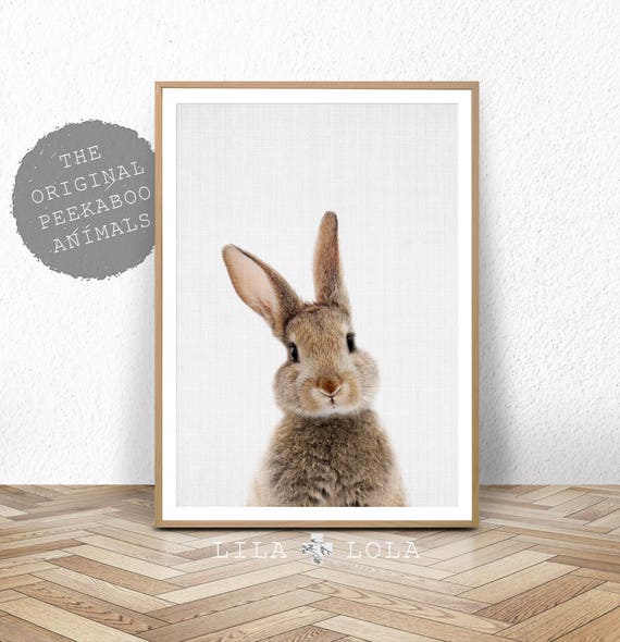 wall wall prints decor printable Animal Nursery Woodland Art Decor Wall Rabbit Print Animal