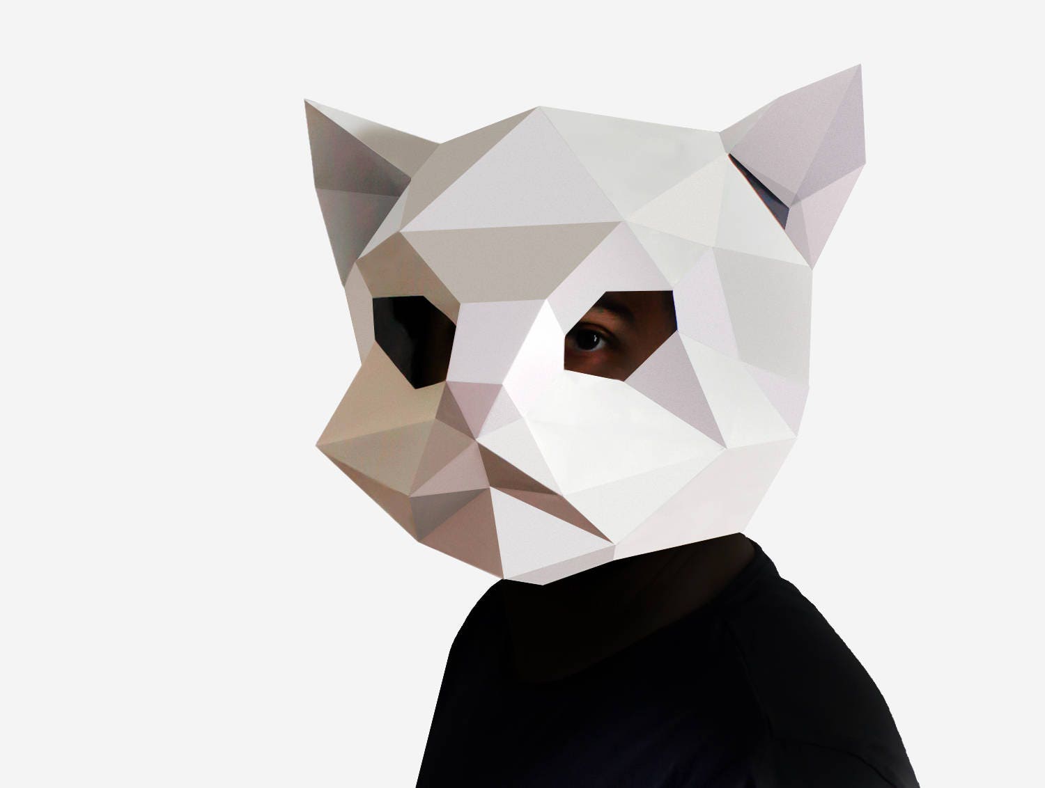 It is a picture of Declarative Paper Mask Template This is a picture of Declarative Paper Mask Template