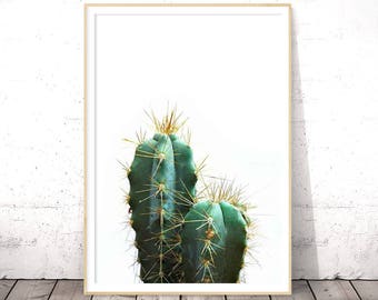 Printable Cactus Art, Cactus Plant, Cactus Photography, Cactus Poster, Plant Art Printable, Cactus Print, Succulent Print, Cactus Printable
