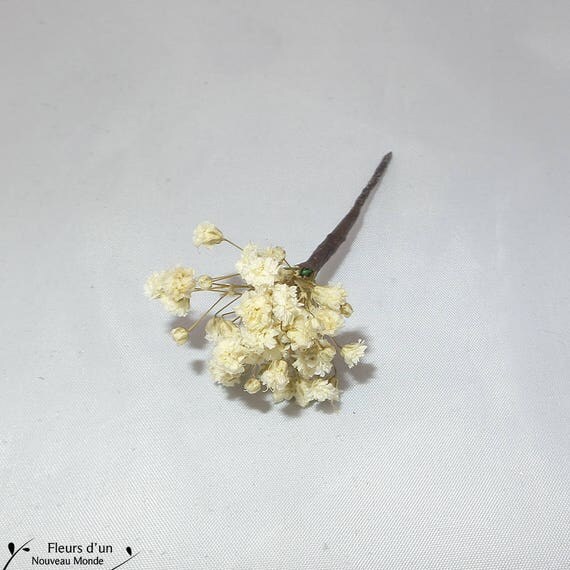 gypsophila bridal headpiece
