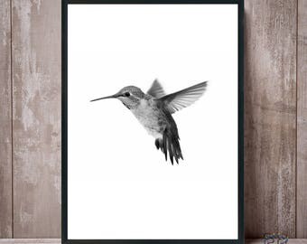 Hummingbird Print, Hummingbird Art, Hummingbird Wall Art, Colibri Print, Hummingbird Black White, Bird Prints, Colibri Photo, Colibri Poster