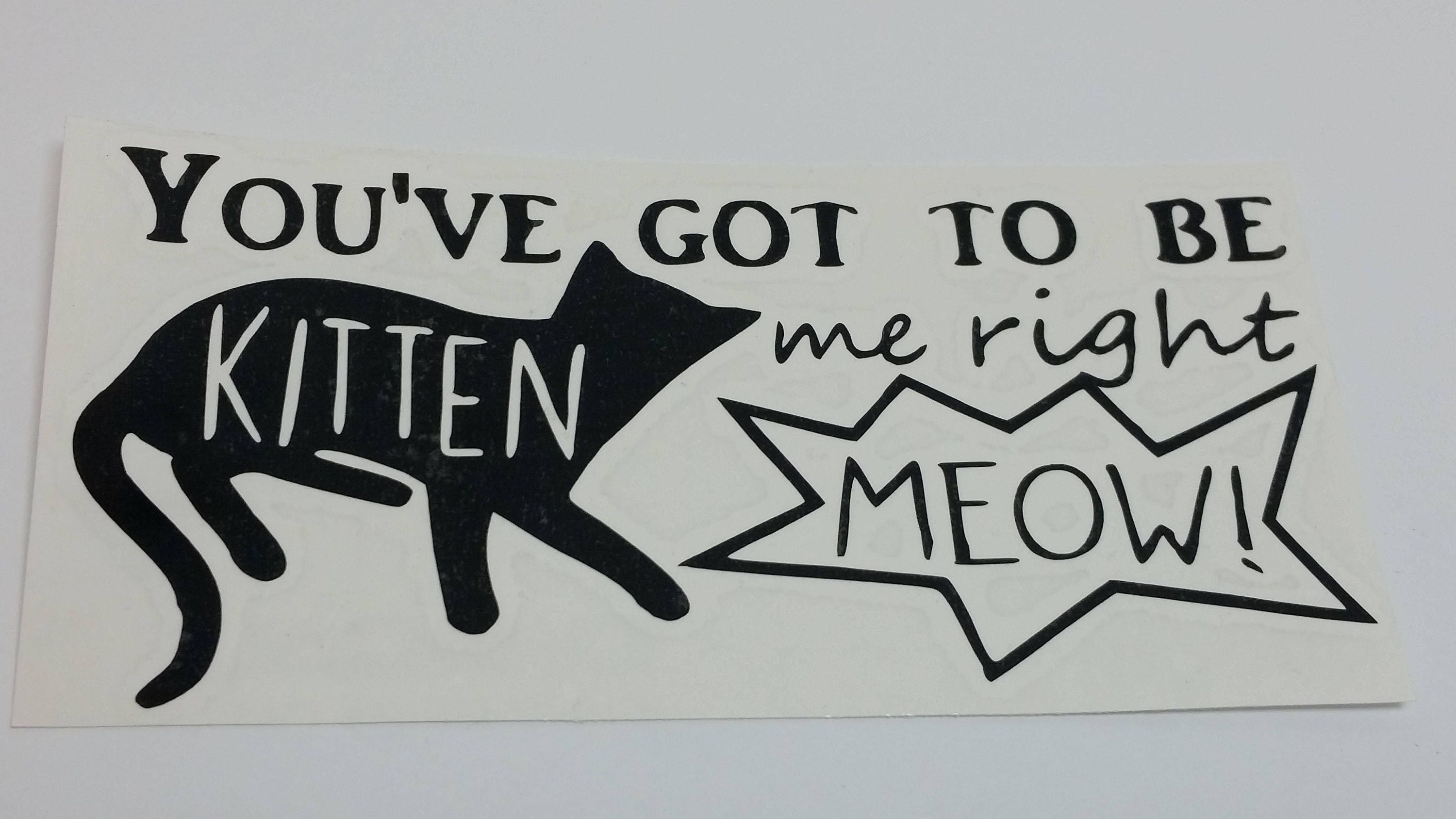 Adorable You've Got to Be Kitten Me Right Meow Vinyl