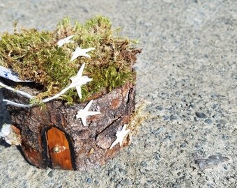 Starfish Fairy