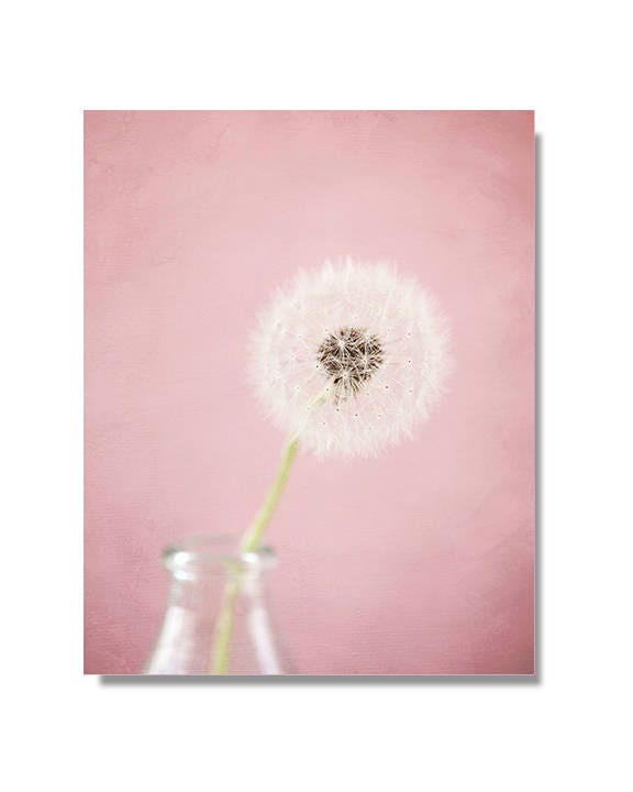 Pink dandelion photo canvas wall art nursery wall art girls