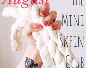 The Mini Skein Club : August Box