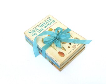Golden Guide Book Lot, Seashores, Sea Shells and Fishes Golden Guide Books, Marine Biology, Oceanography Books, Beach Books, Beach Wedding