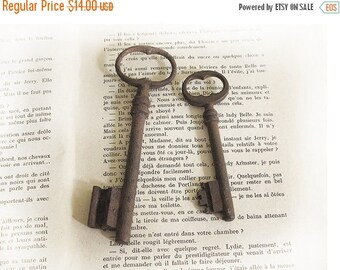 set of 2 Antique big french Skeleton Key, antique patina