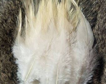 Natural Speckled Dusty Ivory Rooster Saddle Feathers - 50