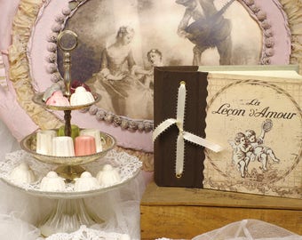 Album photo de mariage anniversaire de mariage " La leçon d'amour "