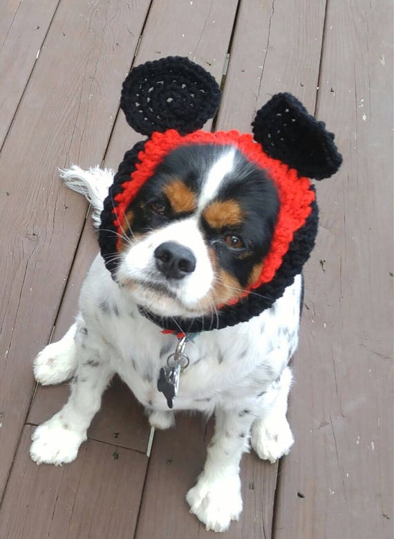 Mickey Mouse dog snood / hat / costume