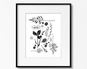 Flora 1 - Black and White Art Print Botanical Illustration