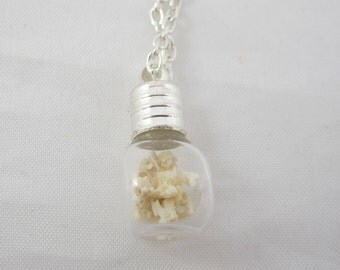 Tiny Vial of Vertebrae Pendant Necklace