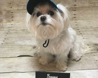 Dog baseball hat, puppy hat, baseball hat for dogs, personalized dog hat, dog apparel, dog accessories, dog items, dog clothing, dog stuff