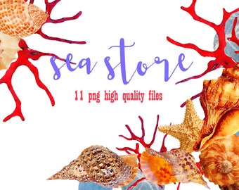 watercolor clipart sea Clip Art Watercolour stones clipart: 11 png Seashells Aquarelle Digital Clip Art watercolour colorful Molluscs