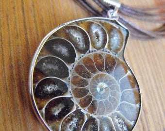 Ammonite Fossil Cord Necklace