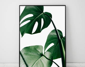 Monstera, Monstera Leaf Print, Monstera Deliciosa, Monstera Print, Greenery, Leaves, Green Monstera Print, Tropical Leaf, Tropical Leaves