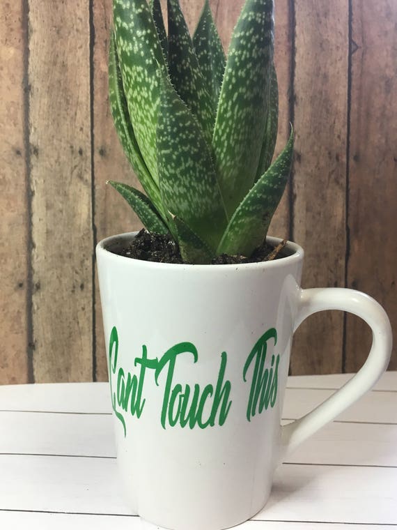 Indoor Coffee Cup Planter plant holder Cactus cup Cute Planter