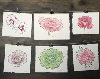 Botanical Original Watercolour Painting Small