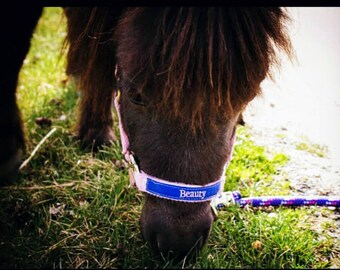 Custom Personalized Horse Halter w/ Embroidered Name on Noseband. Pony Halters, Mini Halters, Oversize available. Monogram horse halters