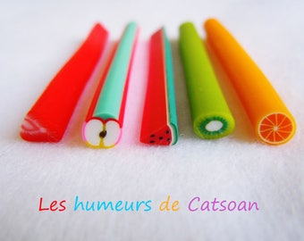 10 polymer clay fruit canes / polymer / greedy jewelry / cane /nail decoration nail art fimo