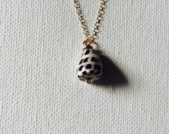 Hawaii Tiny Hebrew Cone Shell Wire Wrapped Necklace