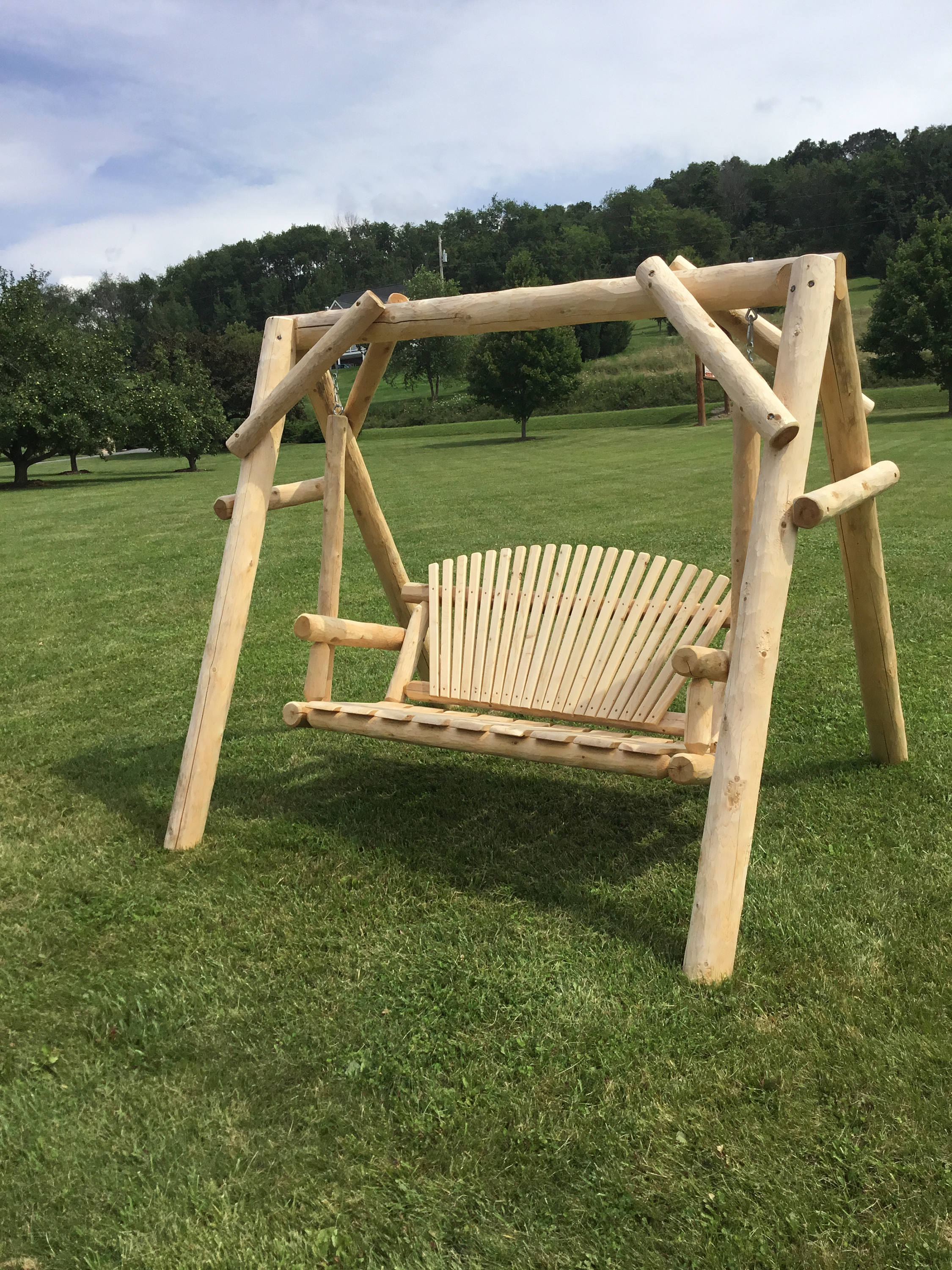 5 foot swing frame