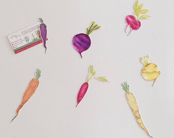 Kit fridge magnets, magnets, fridge magnets leegumes magnets, magnet vegetables
