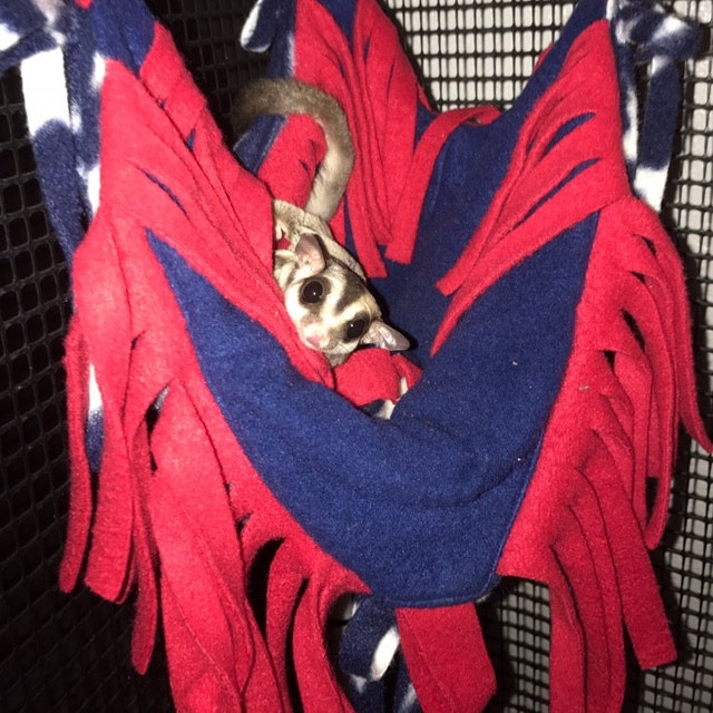 Sugar Glider / Small Animal Seamless Fleece Cage Set