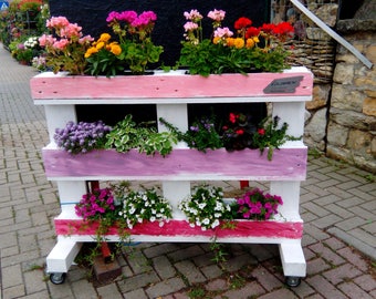 Range of planting, planting a euro-pallet rack