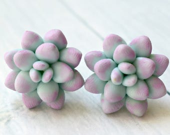 cactus earrings, earrings succulent, succulent earrings, succulent stud, succulent flowers, jewelry mint earrings, earrings stud, polymer